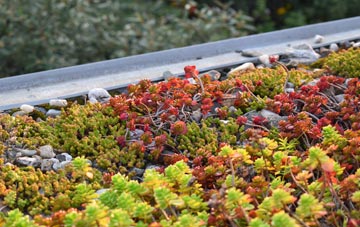 the cost of West Hampstead green roof installation