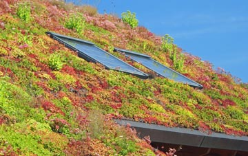 West Hampstead living roof systems